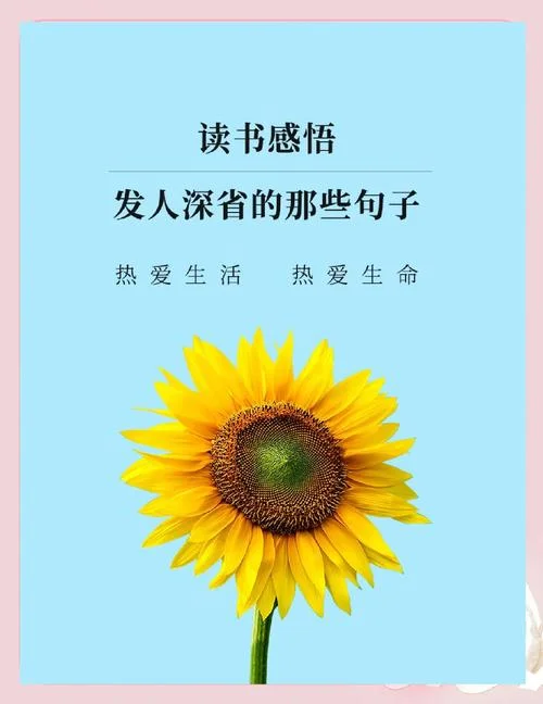 每日坚持读书感悟-每日读书感悟