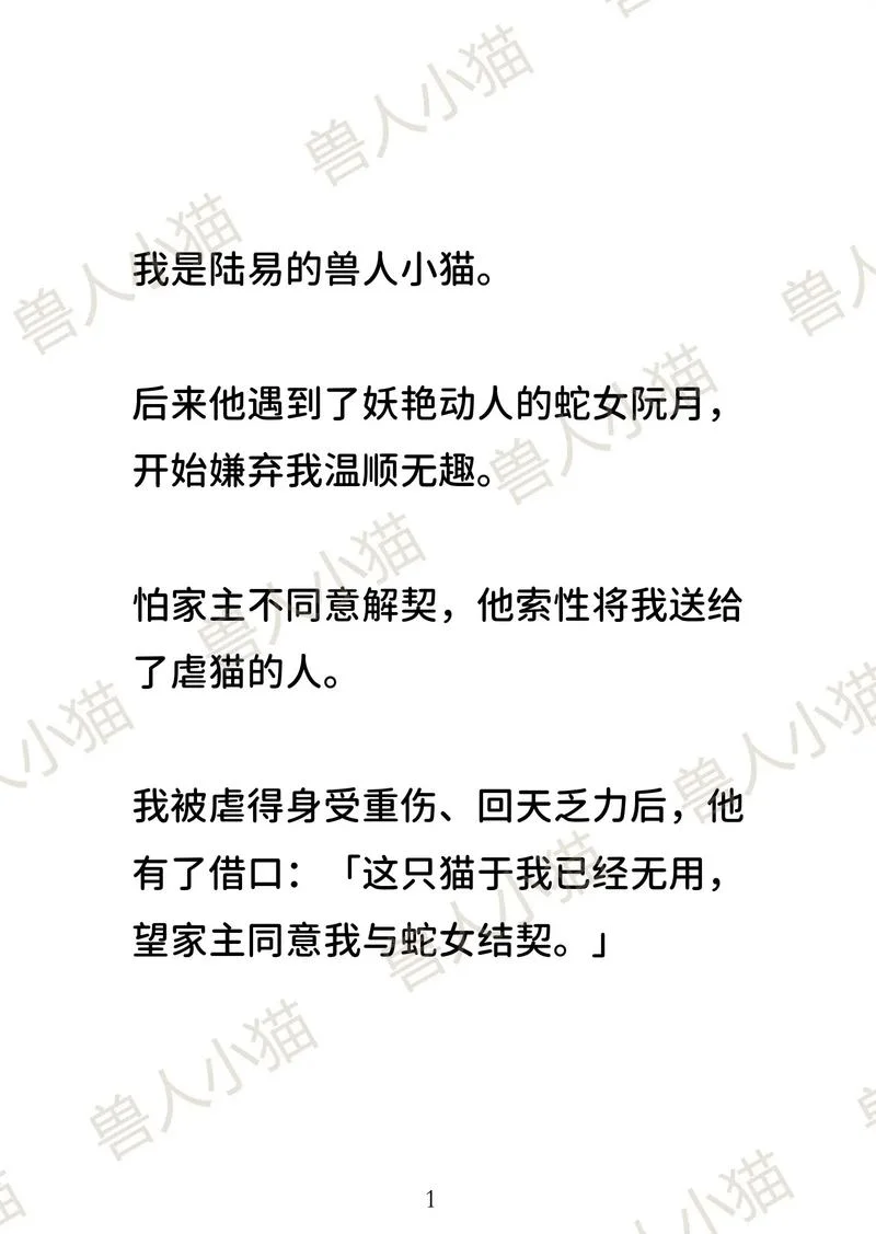 刺猬猫怎么写小说_1