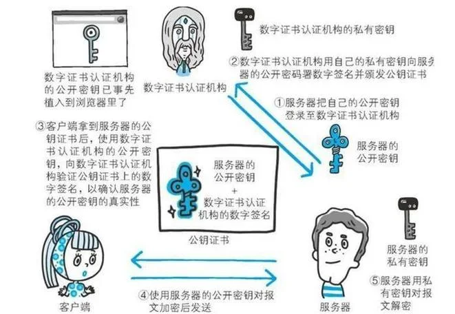 私钥证书序列号查询-私钥证书序列号查询