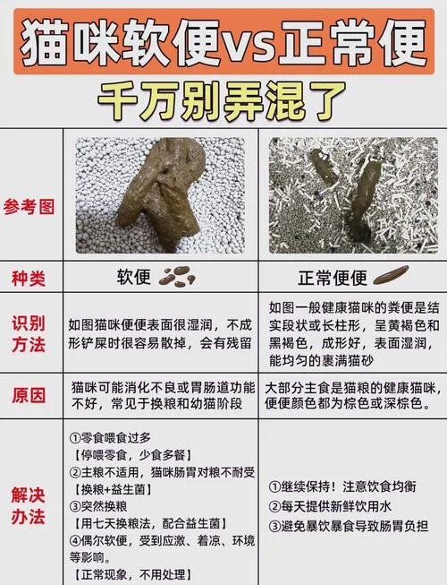 幼猫软便怎么办-幼猫软便如何解决
