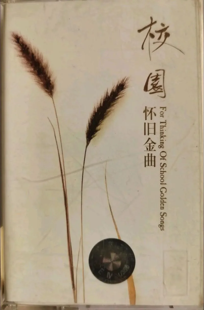 外婆的澎湖湾作者简介_2