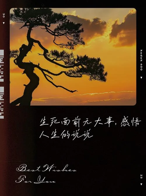 生活感悟经典说说_1