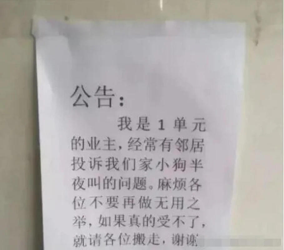 梦到狗掉到楼下-梦见狗坠楼