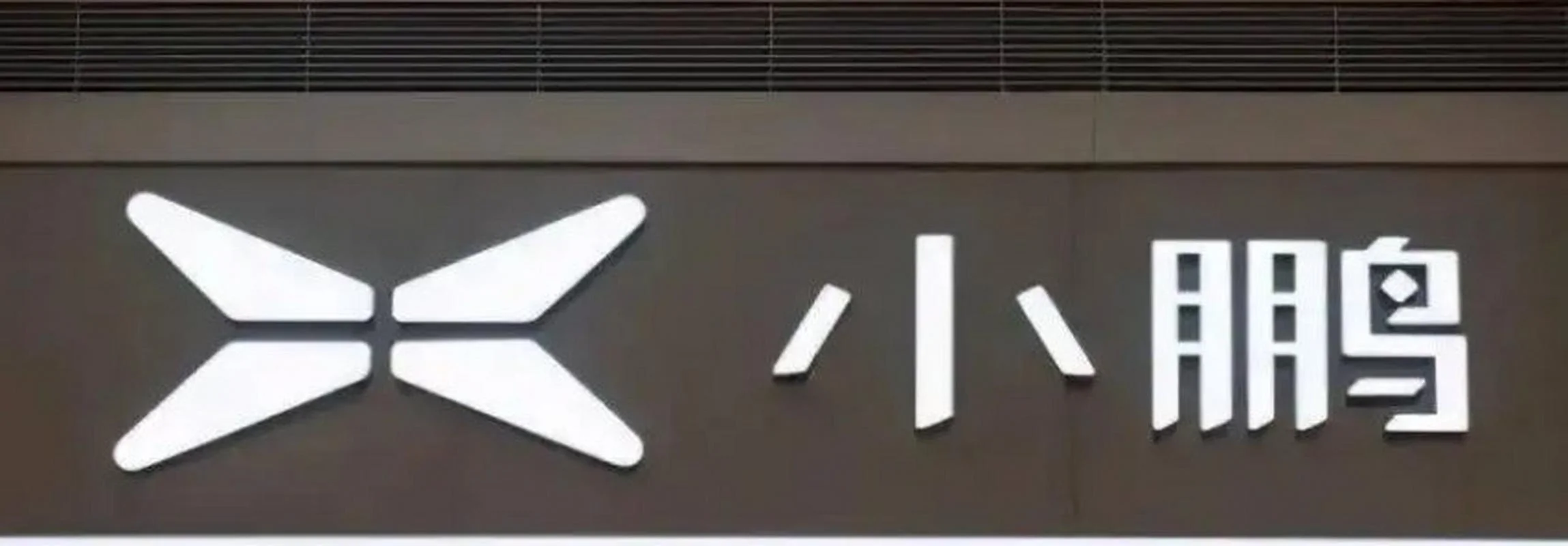 小鹏汽车公司叫什么_2