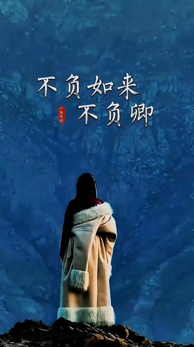 不负如来不负卿这句话出自哪里_1