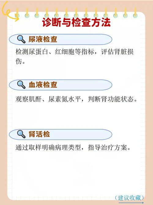 肾炎又叫什么病_2