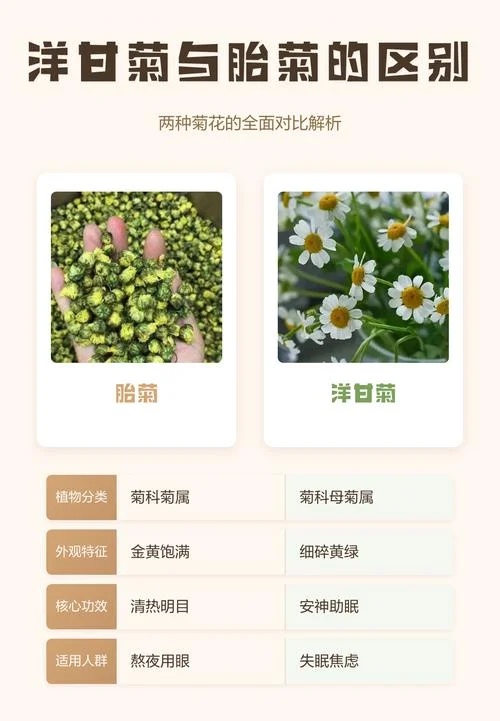 洋甘菊茶哪个牌子好-洋甘菊茶优选品牌推荐