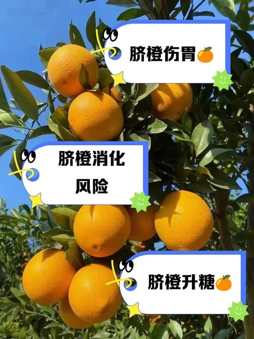 梦见吃橘子是什么预兆_1