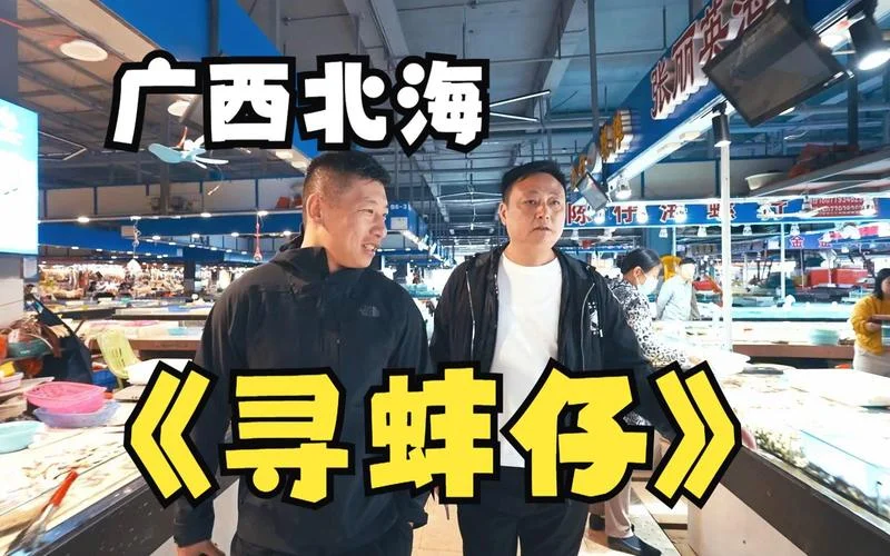 北京到广西北海多少公里_1