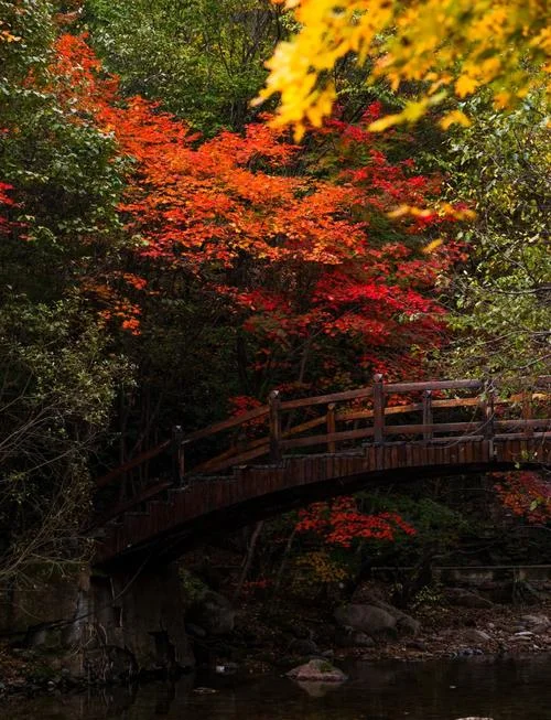 本溪旅游景点大全秋天_1