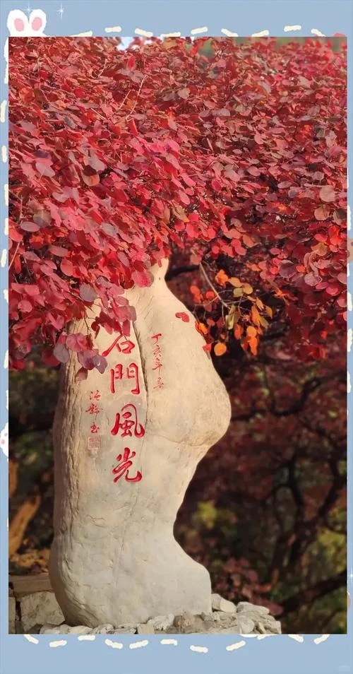 红色景点打卡视频_2