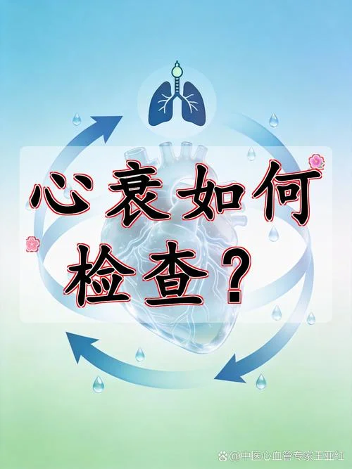 如何查心衰_1
