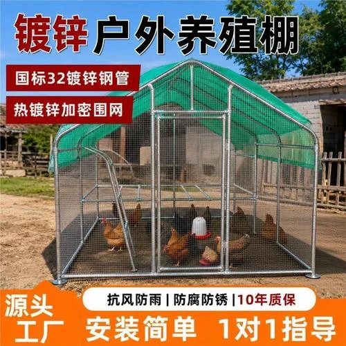 养鸡大棚建造价格一平方是多少钱_2