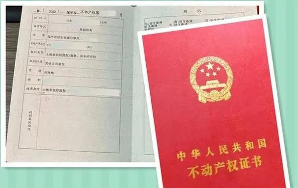 林权流转多少钱一亩_1