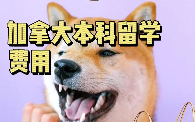 加拿大本科留学保证金-加拿大留学保证金