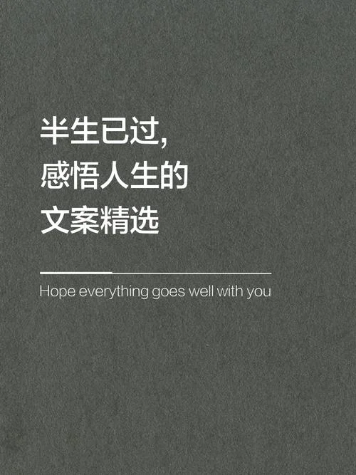 经典文案人生感悟短句_2