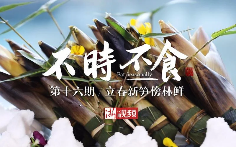 不时不食出自哪里_1