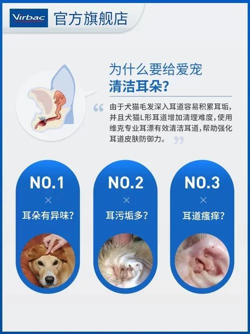 耳漂怎么用_2