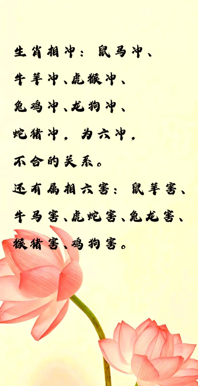 猪对冲什么属相最好-猪冲鼠马猴大吉
