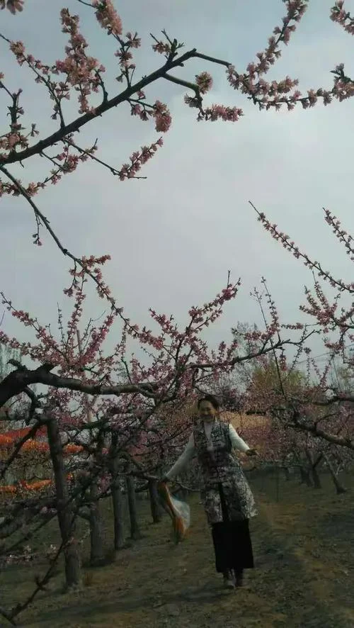 春风一路出自何处_2