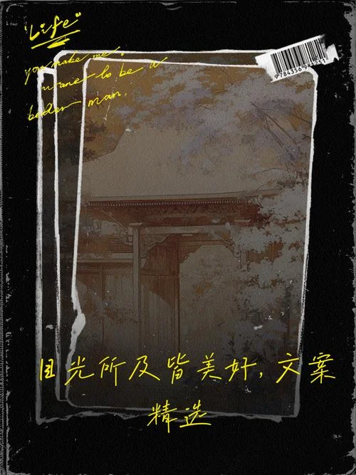 目光所及的文案_1