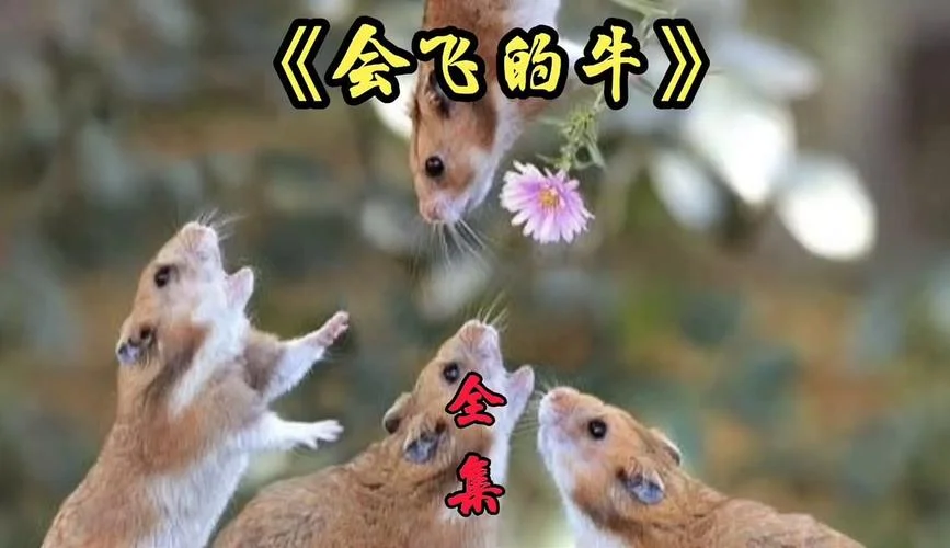 梦到牛飞起来_2