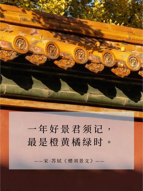 正是橙黄橘绿时的上一句_1