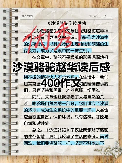 哲学故事及感悟400字_1