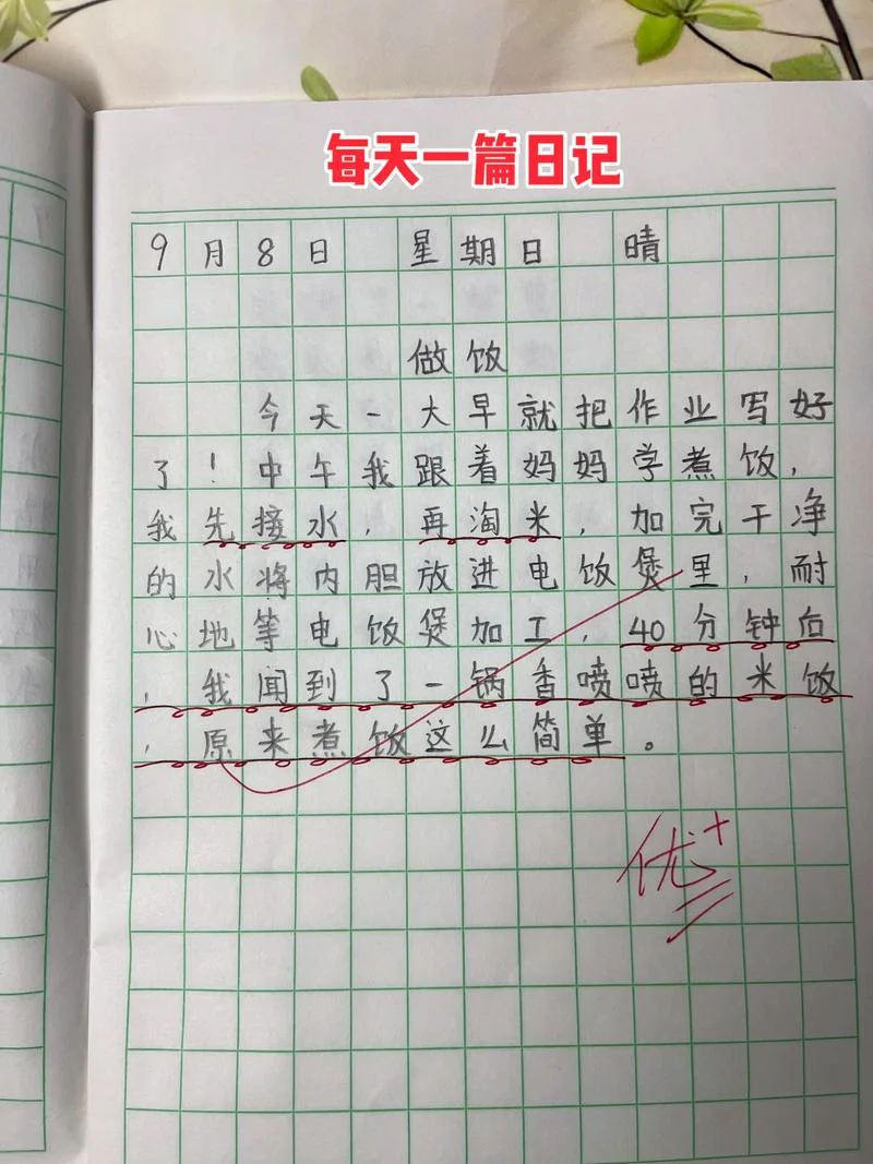 30字日记怎么写_1