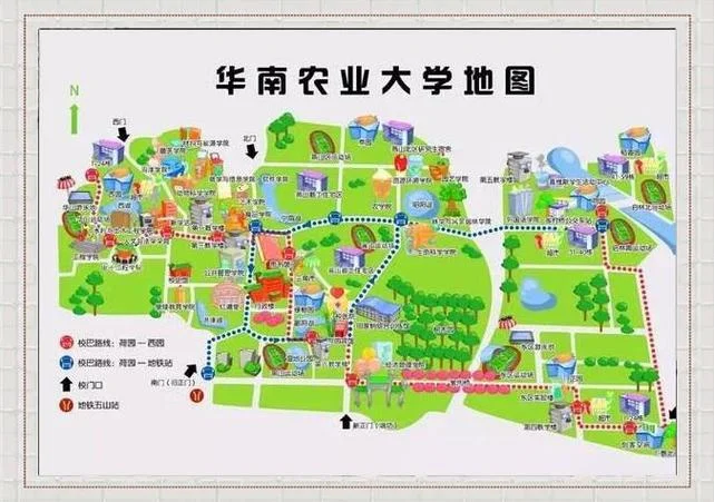 华南农业大学分数线_2