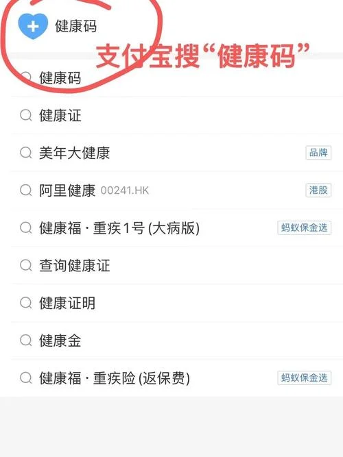 支付宝付款记录在哪查-支付宝付款记录查询