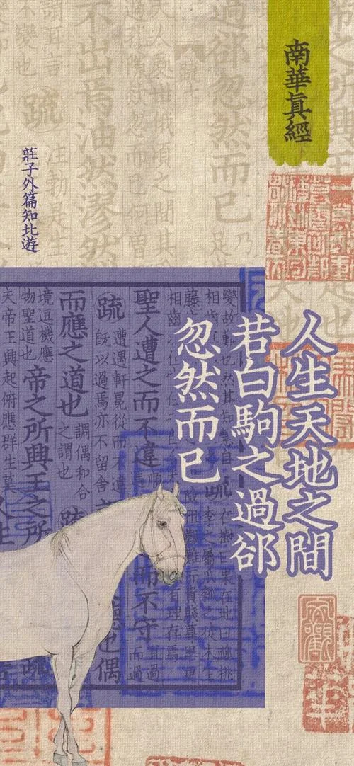 白驹过隙下一句_1