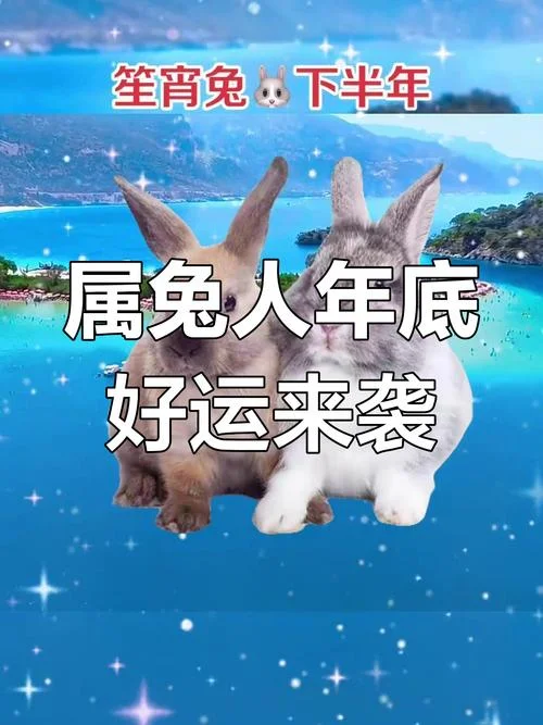 属兔2020下半年的运势如何_2