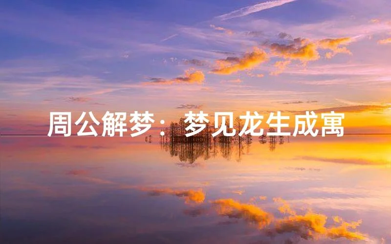 解梦大全梦见龙_2