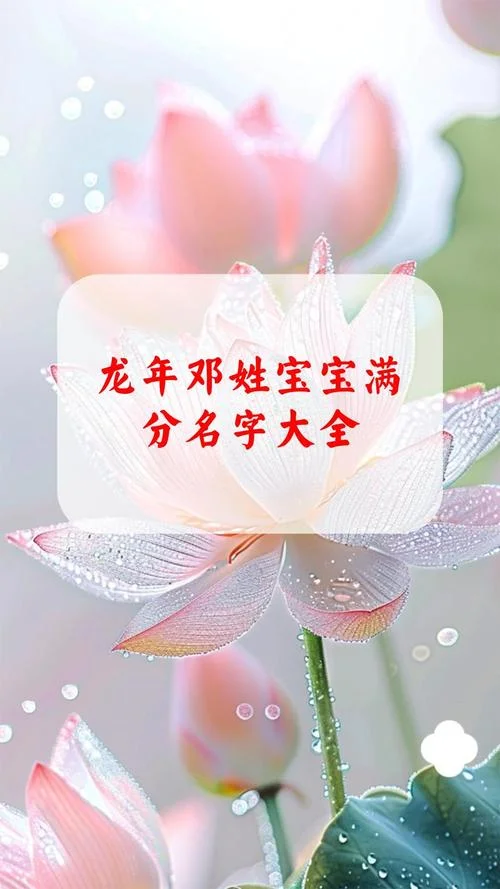 姓邓起名字大全男孩-邓姓男孩名字推荐