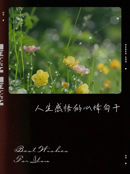 感悟心境图片_1