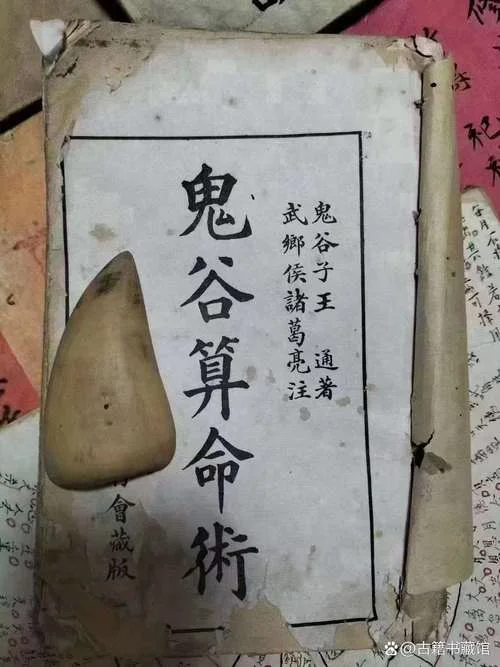 微信算命大师txt下书网-微信算命大师txt下网
