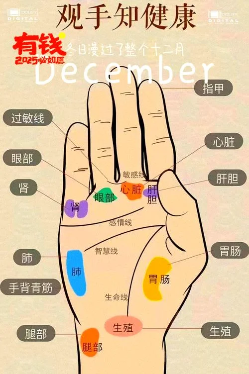 三峰高凸的男人手相_2