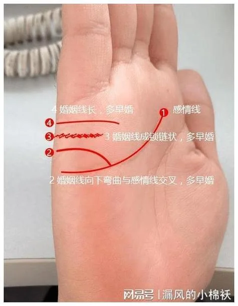 看手相女人感情线图解-看手相感情线图解