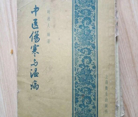 一部伤寒医天下的出处_2