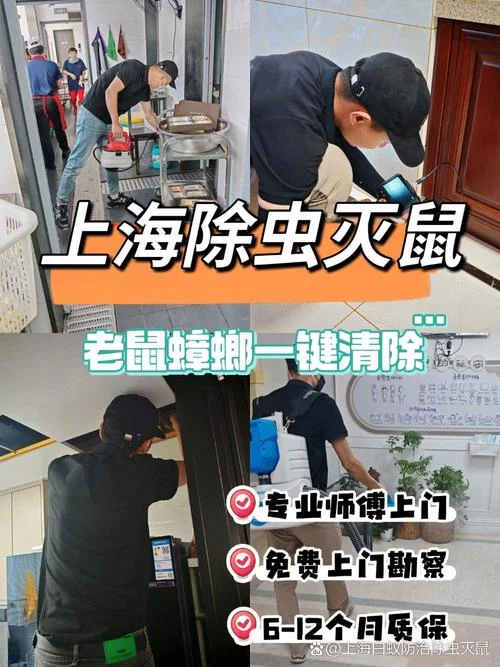 上海灭鼠公司资质_1