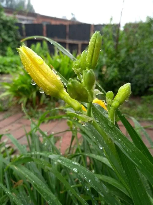 雨露均沾出处_1