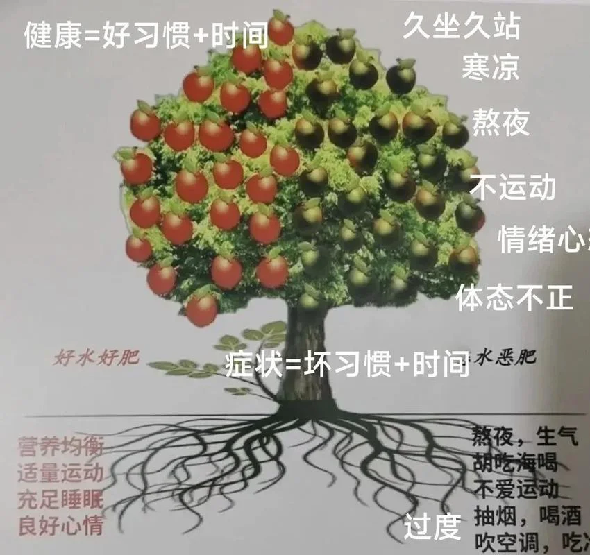 一棵大树明白什么道理_2
