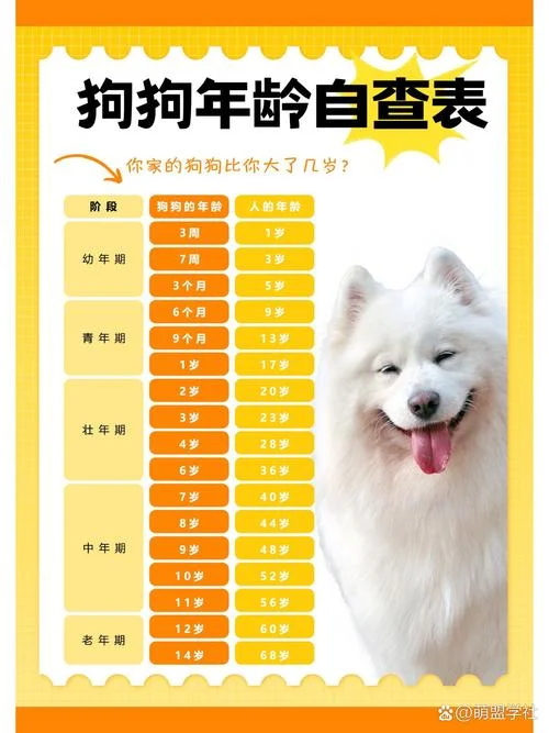 2018年属狗的人几岁_1