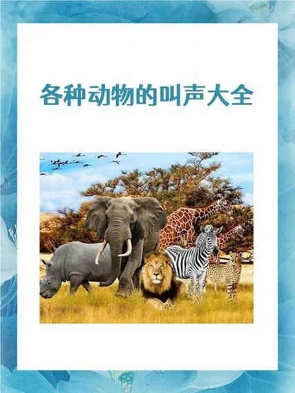 史上最大的动物叫声-史上最大动物叫声