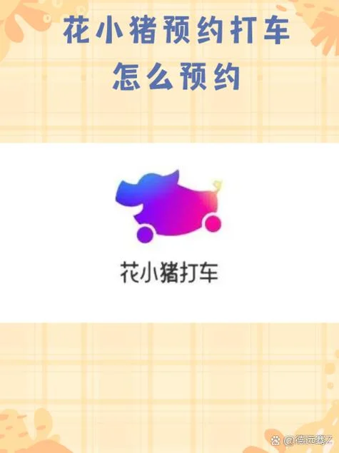 花小猪带车每公里多少钱_2
