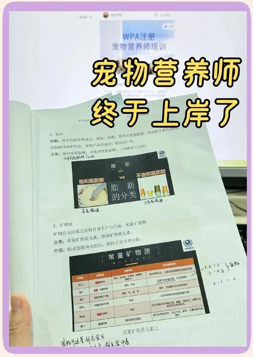 宠物培训班怎么报名_2