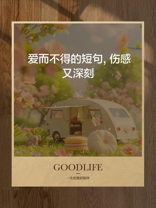 爱而不得的下一句_1