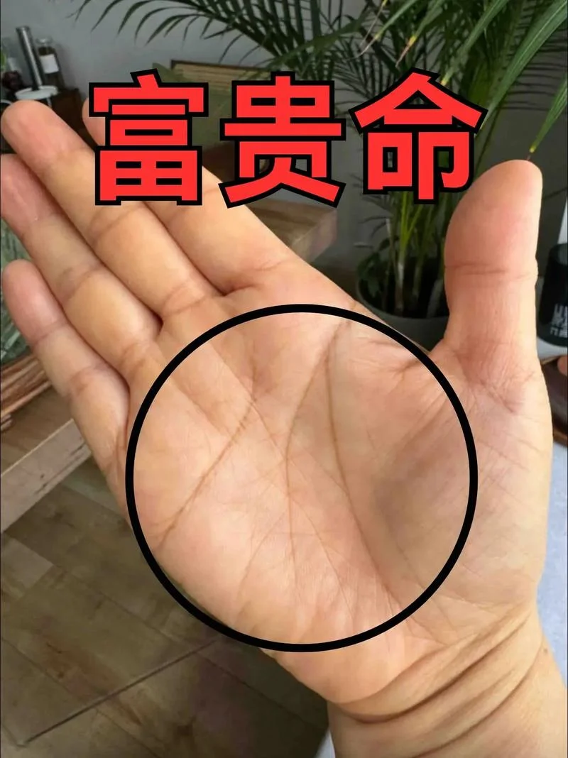 亿万富翁的女人手相_2