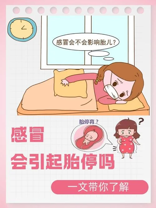 5个月的孕妇感冒了怎么办_1